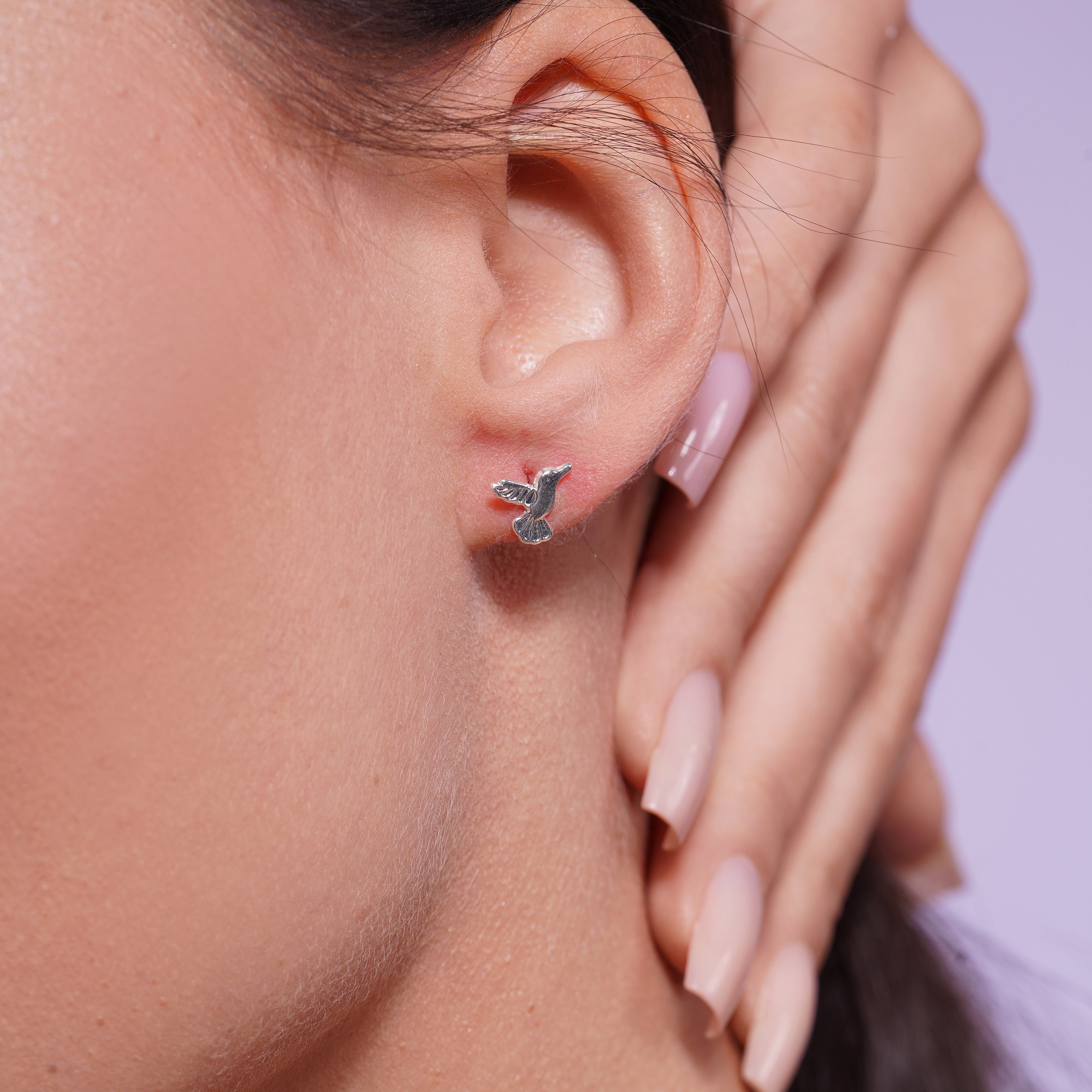 High Polished 925 Silver Hummingbird Earrings - SIL00010