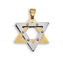 Two Tone Gold and Rhodium Plated Stainless Steel Star of David Pendant - SSP00371