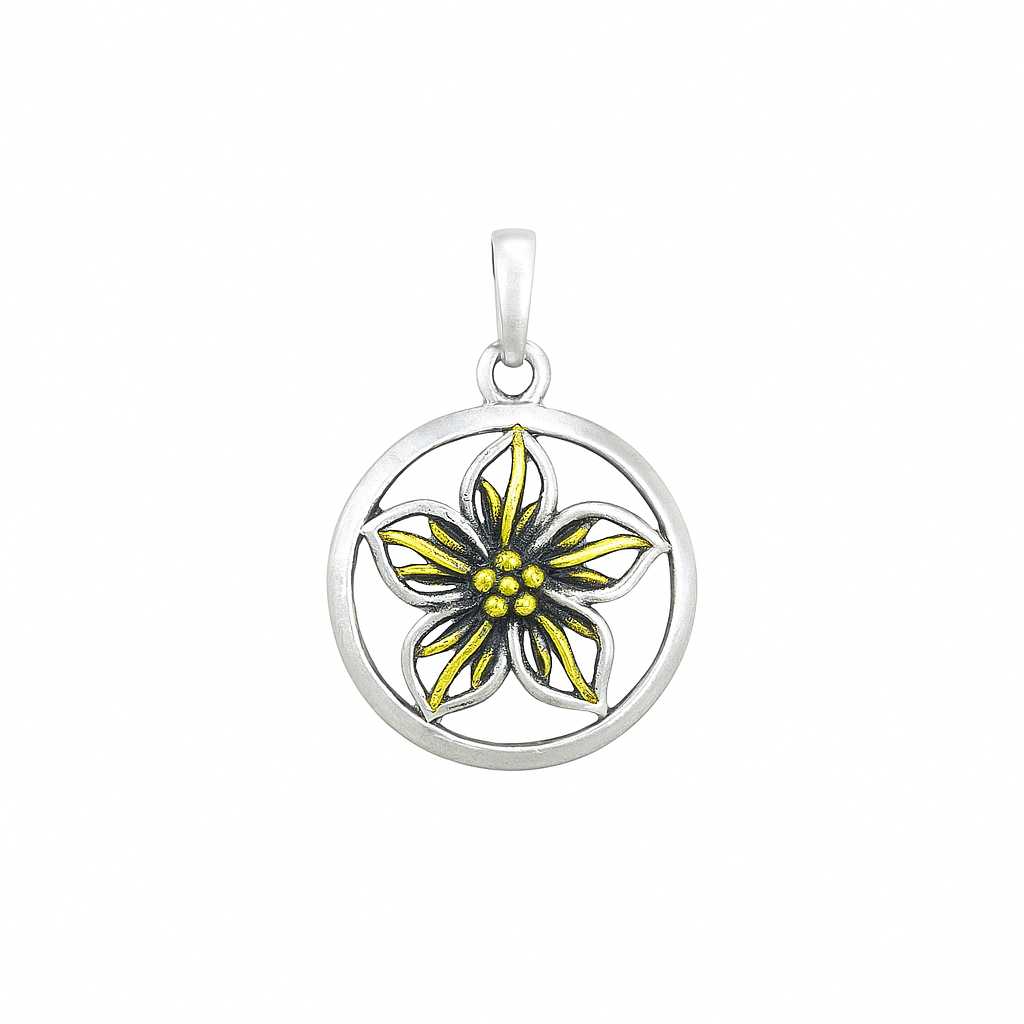 Clearance-Sterling Silver 2 Tone Circle Flower Pendant - SPP00041