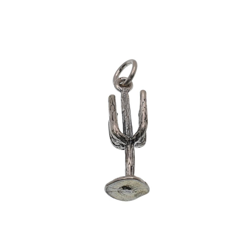 925 Silver Oxidized Cactus Charm- CHARM0084