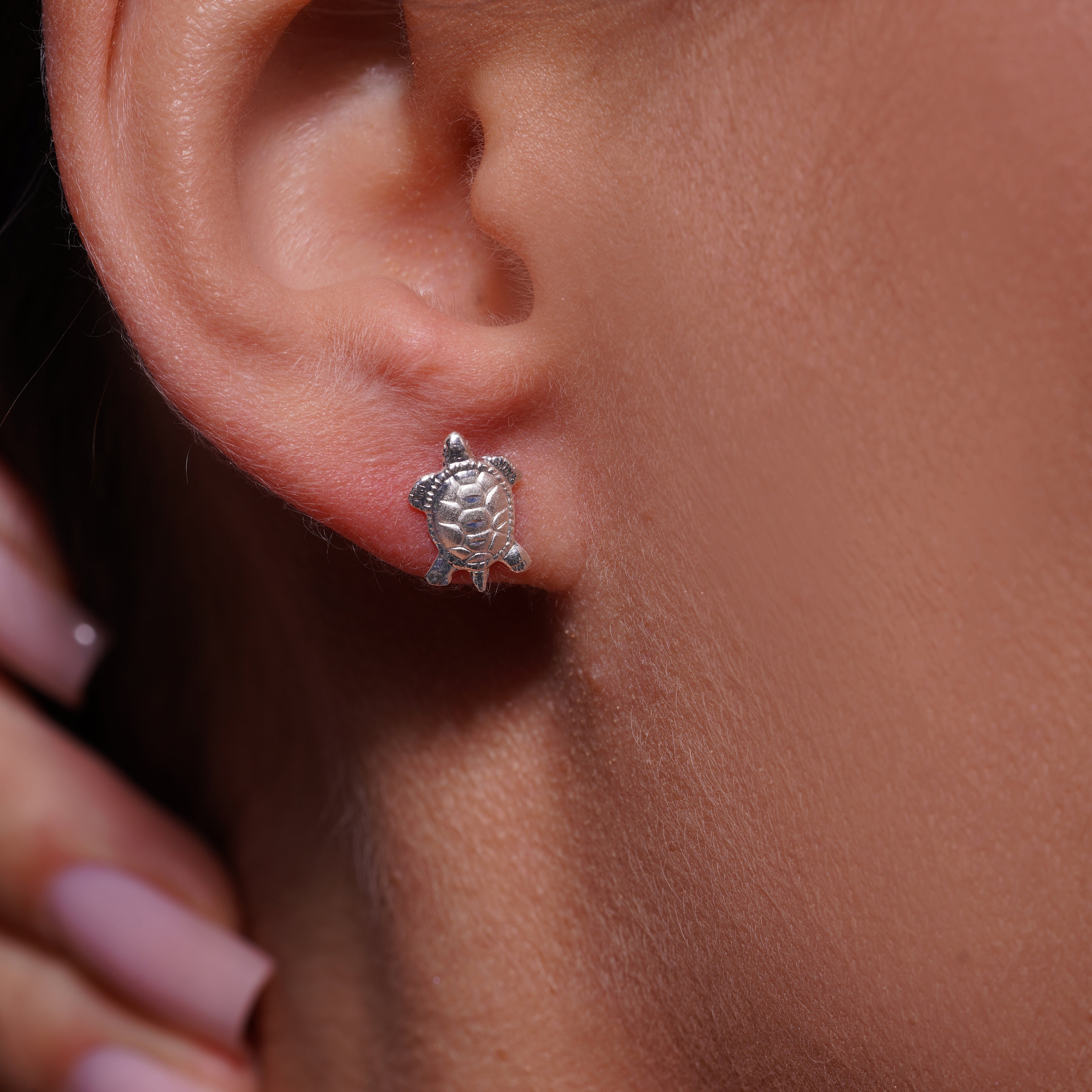 High Polished 925 Silver Large Turtle Earrings- SIL00002