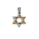 Two Tone Gold & Rhodium Plated Stainless Steel Star of David Pendant - SSP00501GP
