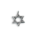 Rhodium Plated Stainless Steel Star of David Pendant - SSP00501