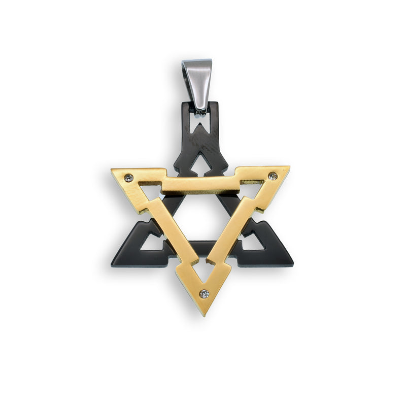 Two Tone Gold and Black Rhodium Plated Stainless Steel CZ Star of David Pendant - SSP00502