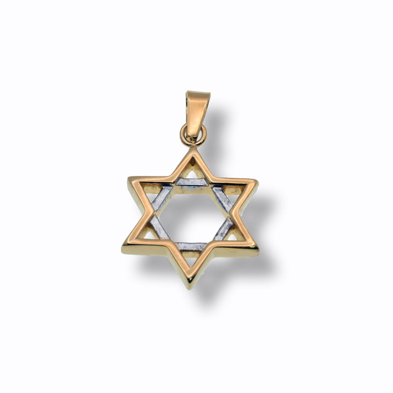 Two-Tone Plated Stainless Steel Star of David Pendant - SSP00506